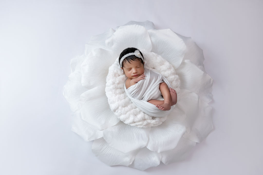 newborn baby in flower
